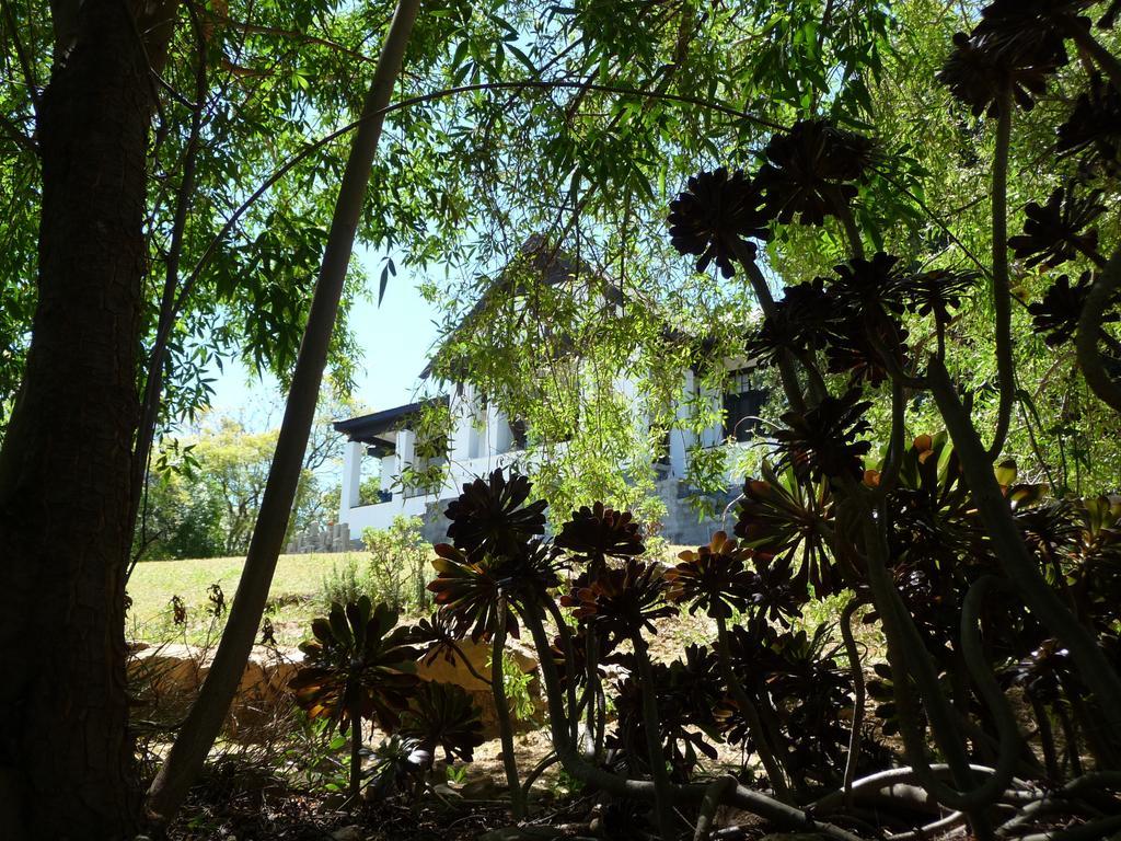 Karoo Soul Vandrarhem Oudtshoorn Exteriör bild